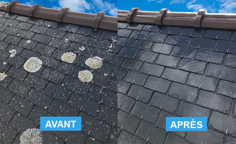 Nettoyage toiture - Renov Toiture 50 : artisan couvreur dans la Manche (50) : Nettoyage toiture et protection anti-mousse démoussage toit. Revêtement peinture hydrofuge coloré couvereture dans la Manche (50) - Artisan couvreur dans la Manche (50) : Saint-Gilles, Saint-Lô, Coutances, Granville, Avranches, Les Pieux, Valognes … Rénov Toiture 50