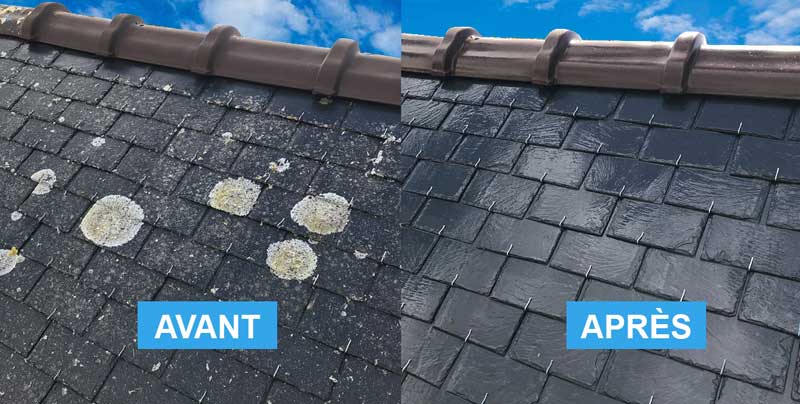 Nettoyage toiture - Renov Toiture 50 : artisan couvreur dans la Manche (50) : Nettoyage toiture et protection anti-mousse démoussage toit. Revêtement peinture hydrofuge coloré couvereture dans la Manche (50) - Artisan couvreur dans la Manche (50) : Saint-Gilles, Saint-Lô, Coutances, Granville, Avranches, Les Pieux, Valognes … Rénov Toiture 50
